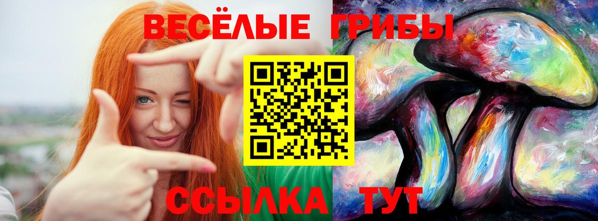 Галлюциногенные грибы Psilocybine cubensis  Вход с VPN  Нефтекумск 
