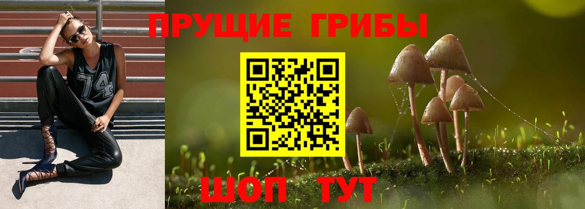 Псилоцибиновые грибы ЛСД Нефтекумск